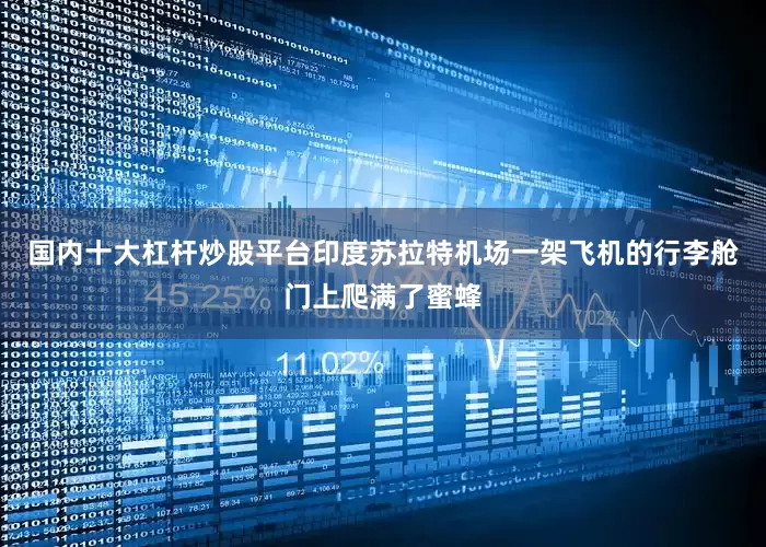 国内十大杠杆炒股平台印度苏拉特机场一架飞机的行李舱门上爬满了蜜蜂