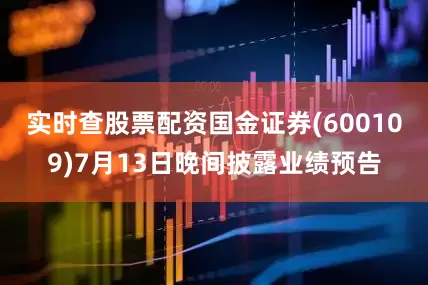 实时查股票配资国金证券(600109)7月13日晚间披露业绩预告