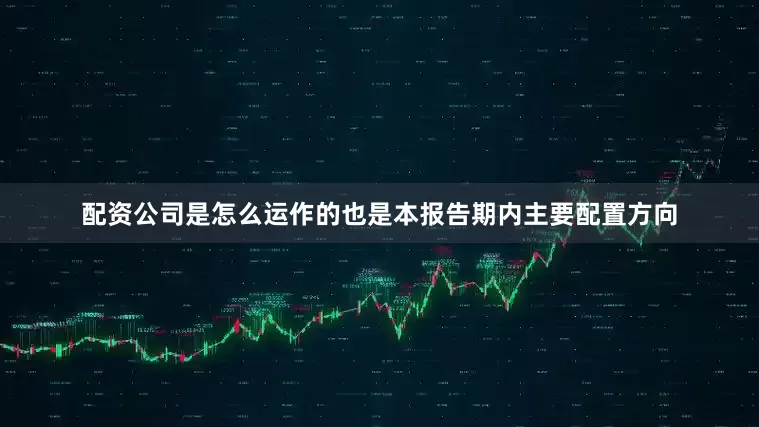 配资公司是怎么运作的也是本报告期内主要配置方向